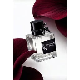 SHIR The Enchanted Rose - 50 ml