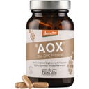 dieNikolai Preparat AOX® OPC Bio - 108 Kapsułek