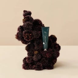 This Place The Good Night - 60 ml