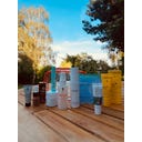 Cosmeterie Summer Bag 2026