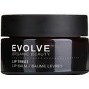 Evolve Organic Beauty Lip Treat - 15 ml
