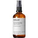 Evolve Organic Beauty Daily Detox Facial Wash - 100 мл