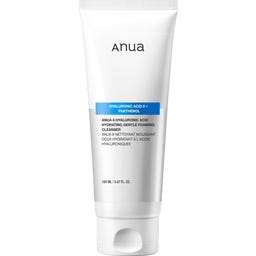 8 Hyaluronic Acid Hydrating Gentle Foaming Cleanser - 150 ml