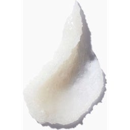 Intensely Purifying Scrub Cleanser With Sea Salt - 250 ml