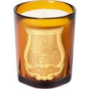 Trudon Classic Scented Candle Altaïr - 70 g