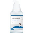 Round Lab Birch Juice Moisturizing Serum - 50 ml
