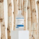 Round Lab Birch Juice Moisturizing Toner - 300 ml