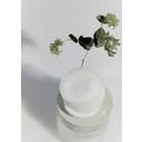 CELIMAX Ji Woo Gae Cica Bha Blemish Toner Pads - 60 Stück