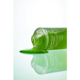 CELIMAX The Real Noni Energy Ampoule - 30 ml