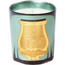 Trudon Classic Scented Candle Fir - 270 g