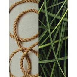 D.S. & DURGA Cowboy Grass Eau de Parfum - 50 ml