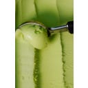 D.S. & DURGA Pistachio Eau de Parfum - 50 ml