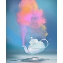 D.S. & DURGA Steamed Rainbow Eau de Parfum - 50 ml