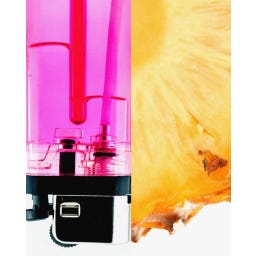 D.S. & DURGA Black Magenta Eau de Parfum - 50 ml