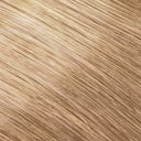 GOLDWELL Topchic Warm Blondes Dose
