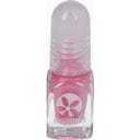 SuncoatGirl Flare & Fancy Natural Nail Kit