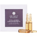 Collagen Management Contour Lift Ampoules