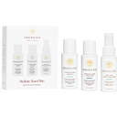 Innersense Organic Beauty Hydrate Travel Trio - 1 Set