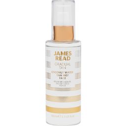 James Read Coconut Tan Mist Face