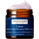 Culture Probiotic Night Recovery Water Cream - 60 мл