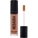 MESAUDA PRO LIGHT CONCEALER - P01
