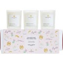 Sana Jardin The Sanctuary Mini Candle Trio - 1 set