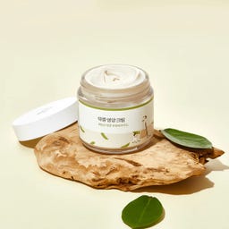 Round Lab Soybean Nourishing Cream - 80 ml