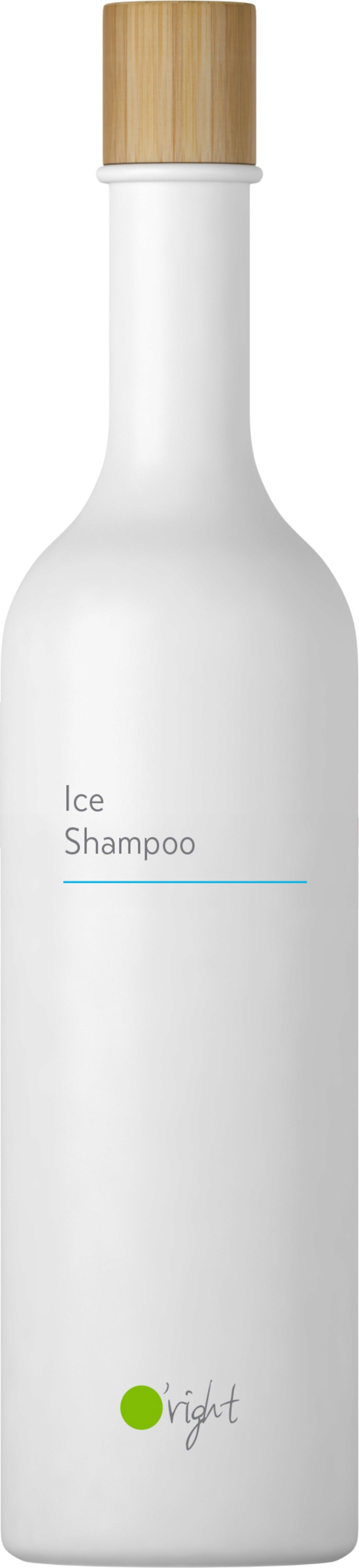 Ice Shampoo, 400 ml