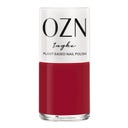 Vernis à Ongles Rouge/Rouge Foncé, Ingke (12)