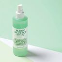 Facial Spray with Aloe, Cucumber & Green Tea - 236 ml