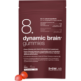 S+SWLAB DYNAMIC BRAIN