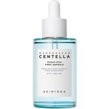 Madagascar Centella Hyalu-Cica First Ampoule