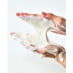 Heartleaf Quercetinol™ Pore Deep Cleansing Foam - 150 ml