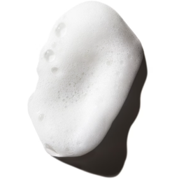 Aveda Phomollient™ Styling Foam - 200 ml