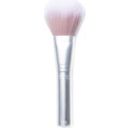 RMS Beauty skin2skin powder blush brush - 1 k.
